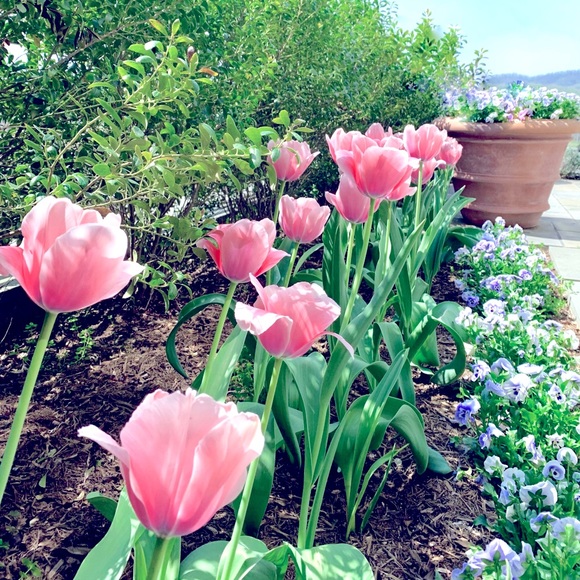 Meet your Posher, Jackie - Picture 1 of 1